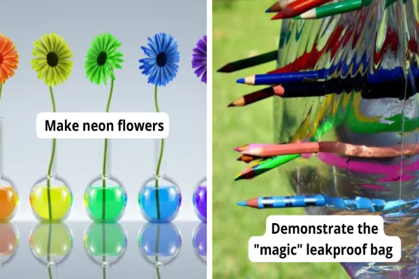 Find Science Experiments 11 science experiments to do at home