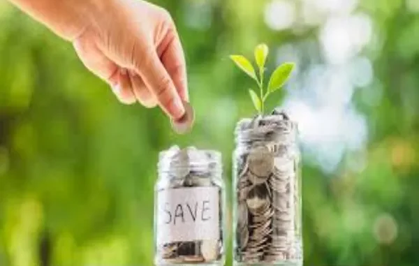How a Savings Account Can Boost Your Financial Management and Success