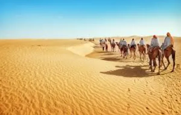 Discover Stunning Deserts with Morocco Tours through the Sahara