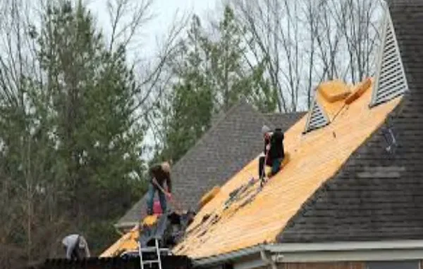 Major Signs Your Roof Needs Repairs and Maintenance in Fayetteville
