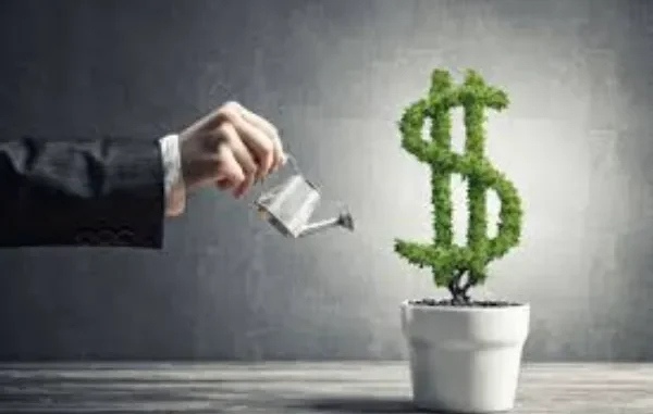 Top 3 Behavioral Biases Sabotaging Your Investment Portfolio