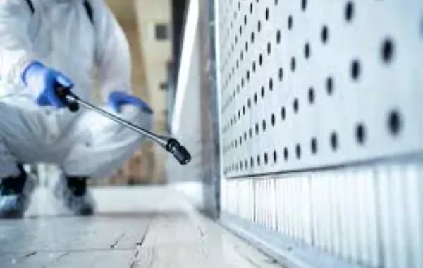 How Fullerton Experts Handle Cockroach Control from Start to Finish