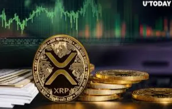 The Rise of XRP: Why Everyone's Watching This Coin Rocket