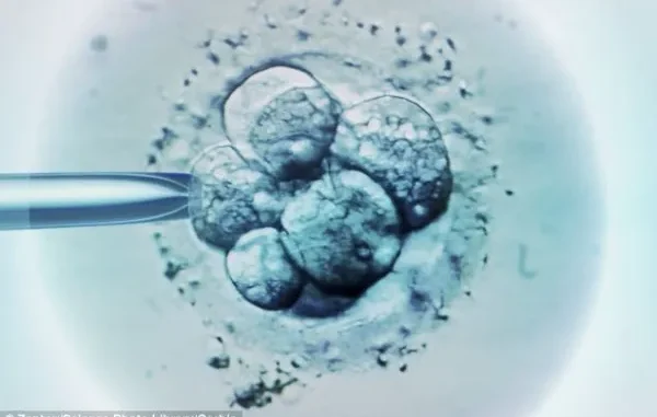 U.S. Startup Launches Embryo IQ Screening, Igniting Global Ethical Firestorm