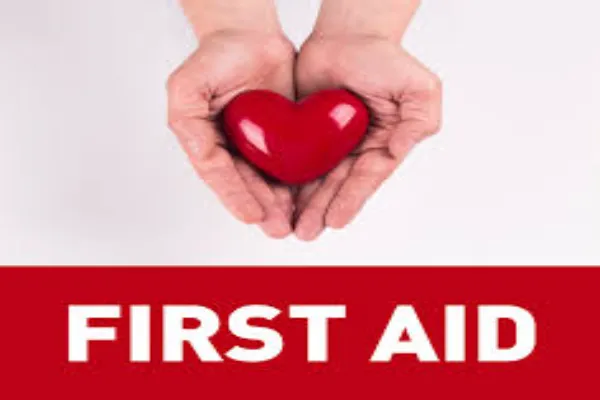 Why First Aid Knowledge Makes Us Smarter Humans | Www ...